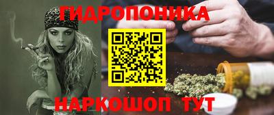 стаф Аргун