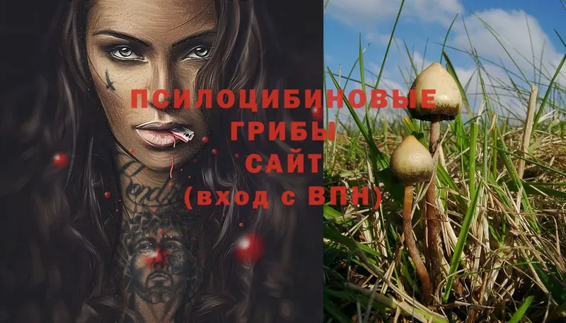 Псилоцибиновые грибы Magic Shrooms  Родники 