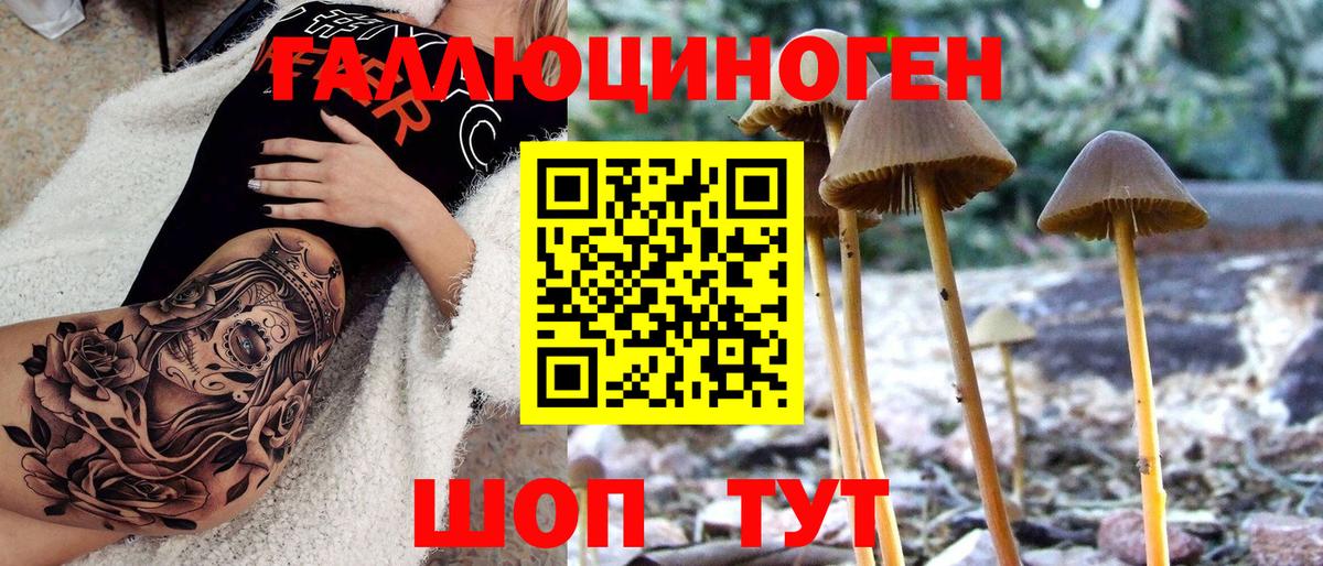 Родники  Псилоцибиновые грибы мухоморы  Вход с VPN 
